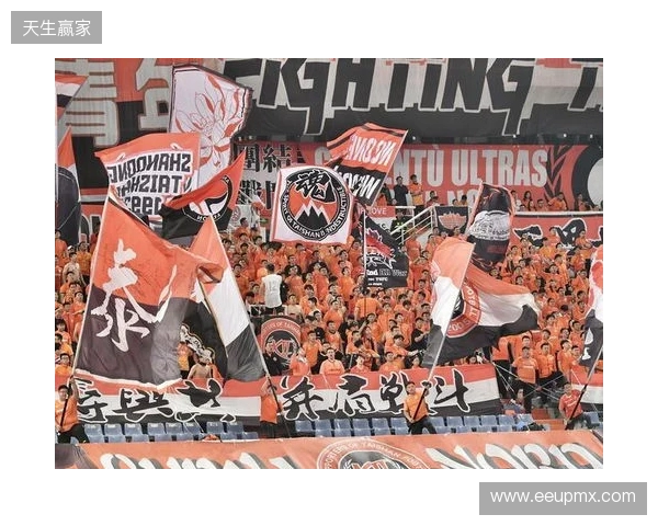 苗原谈泰山引援:账户里有200万水平购买力 但文旅决策尽量少花钱 苗原谈泰山引援:账户里有200万水平购买力 但文旅决策尽量少花钱